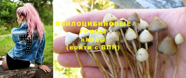 соль ск Алексеевка