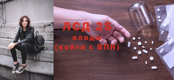 прущий лед Алзамай