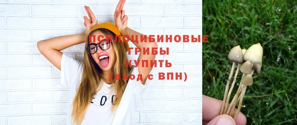 соль ск Алексеевка