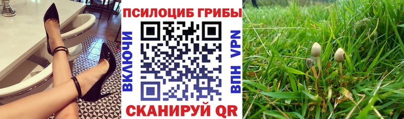 Псилоцибиновые грибы MAGIC MUSHROOMS  Курлово 